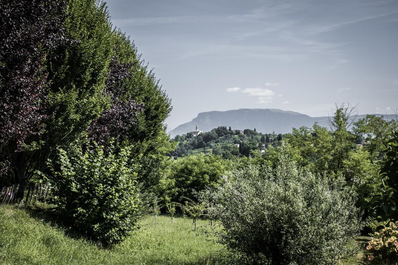 Terre Boscaratto Bed & Breakfast Susegana Exterior photo